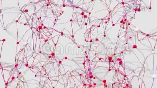4K神经元和突触活动。视频
