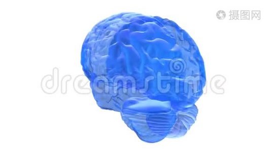 人脑3D渲染.视频