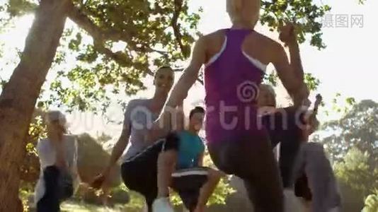 健身小组在公园锻炼视频