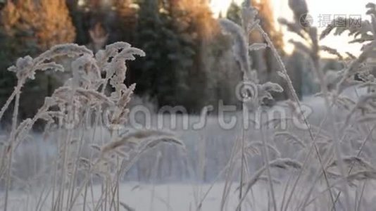 冬季景观。 冬天的场景。视频