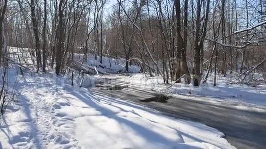 山水林流，冬林自然雪视频