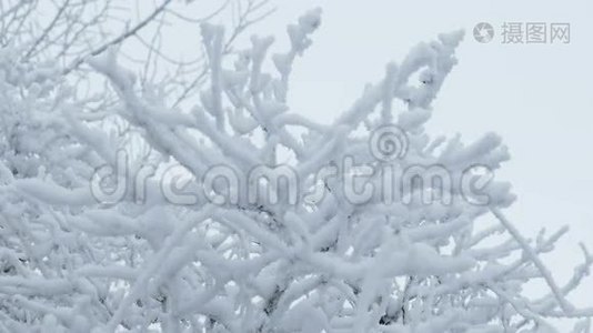 冰封的草地，寒冷的冬天，自然的雪景，美丽的视频