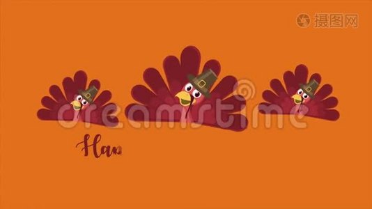 感恩节背景和火鸡录像视频