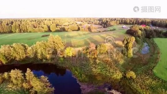 空中镜头。 湖和森林景观..视频