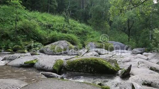 Altai Krai的Belokurikha山河。视频