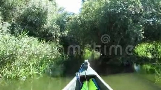 罗马尼亚多瑙河三角洲有沼泽植被的美丽宁静的水道视频