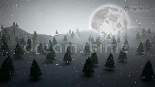 白雪皑皑的风景上的圣诞树视频