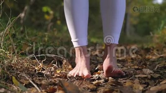 在公园里做瑜伽的女人。 双腿合拢。 健康的生活方式视频