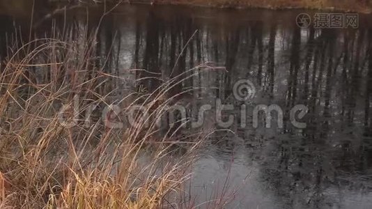 干蒲和冰湖视频