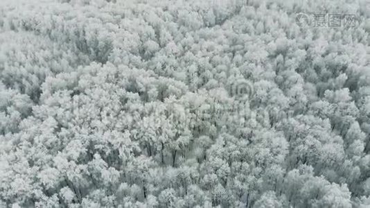 森林覆盖着雪。 冬日森林景观.. 4K.视频