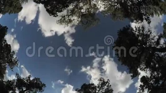 广角云通过树梢时间推移视频