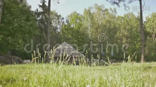 这个村庄在一片绿色森林的郊区。 乡村景观。 乡村小屋。 乡村。 夏天。视频