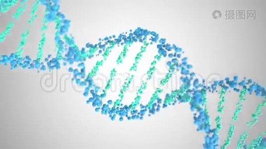 DNA分子螺旋，循环三维动画视频