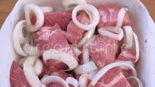 洋葱和香料腌制的生鱼片猪肉块。视频
