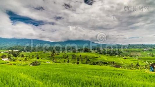 水稻梯田和高山时间流逝视频