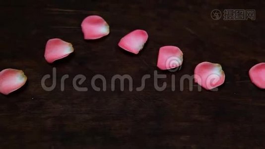 粉色花瓣玫瑰木桌高清镜头视频