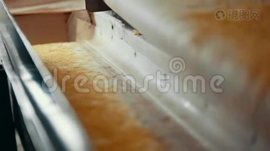 Pasta制造厂生产线-成品视频