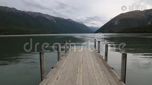 罗托提岛上的黑色海鸥视频