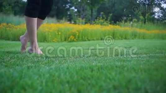 在夏日的草地上，美丽的年轻女子赤脚奔跑视频