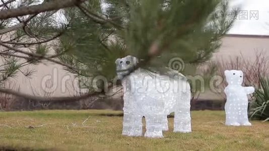 假日熊在院子里视频