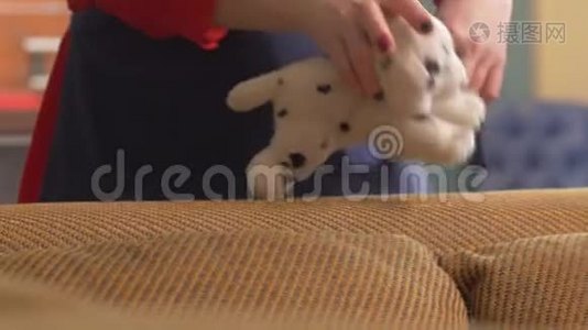 女服泰迪狗特写.. 玩具泰迪犬，带婴儿服装的小狗。 洗干净的小婴儿衣物视频