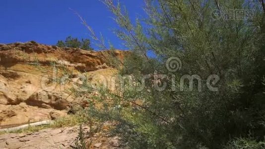 沙地峡谷和蓝天中的绿色灌木视频