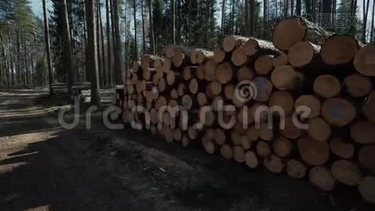 伐木工人伐木工人在森林道路上工作视频