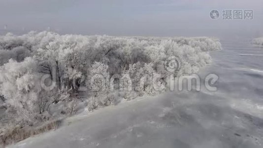 低空飞过一片冬林..视频