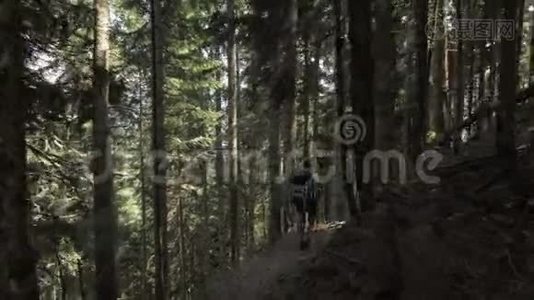 年轻的女孩走在山林与巴克普克-乔治亚国家公园视频
