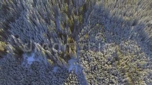 空中白雪覆盖的树木。 景观冬季自然森林。 旅游白色旅游视频