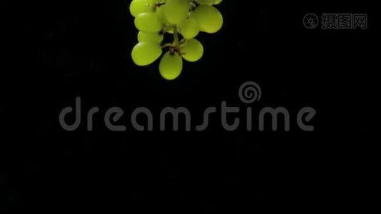 绿色葡萄枝在黑色背景上落入透明水视频