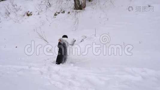 少年扔出新鲜的雪。 这个男孩在冬天很高兴。 冬季阴天。视频