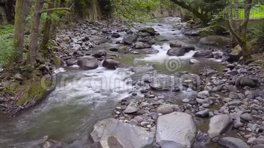 下午4点，山河湍急视频