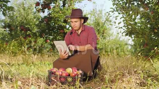农民使用数字平板电脑在苹果花园。视频