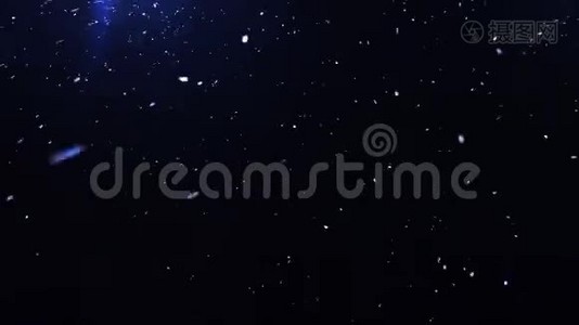 冬季夜晚背景下的雪花飘落视频