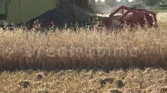 带有卷筒和刀杆的脱粒机是在农田上切割燕麦。 全景。 4K视频