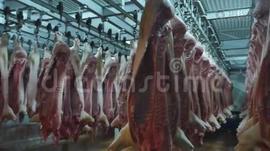 肉制品厂里挂在钩子上的猪肉尸体视频