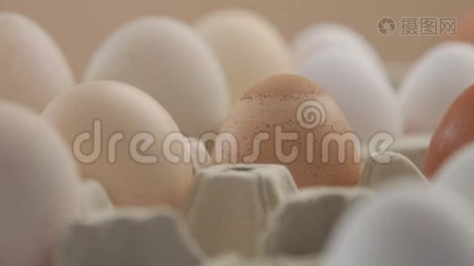 来自不同家禽的不同颜色的鸡蛋视频