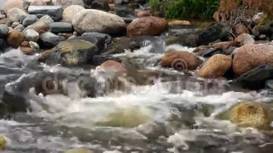 缓慢的水流过岩石视频