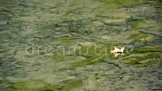 密集的绿色睡莲在一个小湖。视频