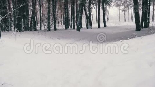 在冬季森林里慢跑。 慢动作视频