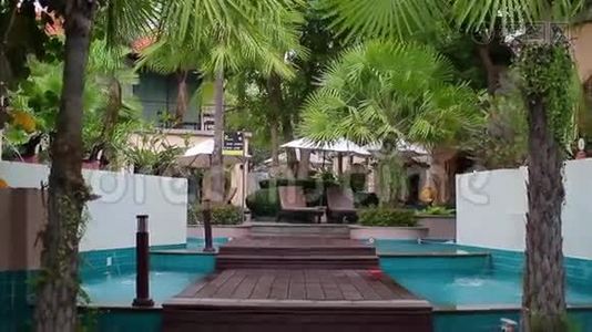 在酒店，游泳池附近有棕榈树视频