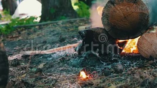 一种笼罩着火焰的燃烧的大原木的景象。 自然、旅游和生存的篝火视频