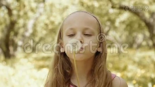一个可爱的小女孩吹蒲公英视频