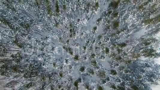 北极苔原。冬天冰冻的森林。空中录像。视频