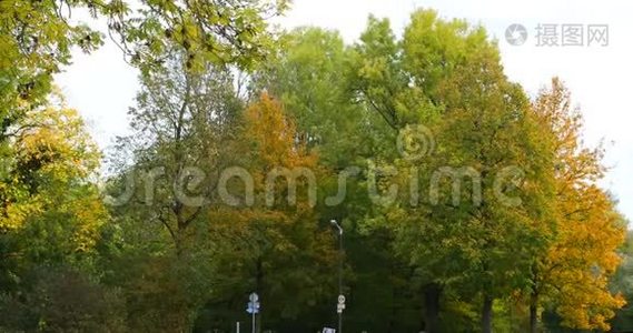 德国公园，莫尼-阿尔，飞机博物馆，秋季公园，落叶视频