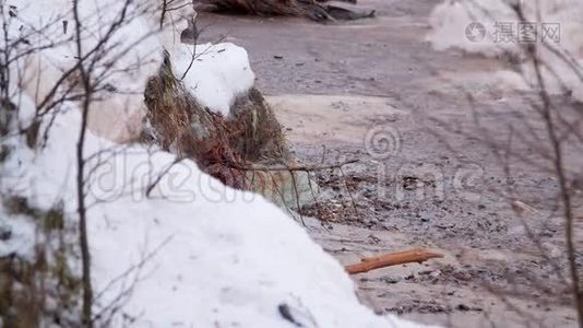 波浪和碎屑缓慢地撞击覆盖着的砂岩悬崖视频