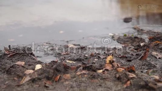 秋天雨天的湖景视频