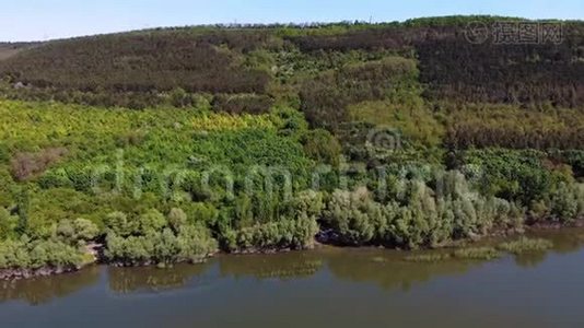 年轻的树木，山坡上的种植园。 在国家公园PodilskiTovtry的德涅斯特峡谷、河流、巴科塔湾的空中景观。视频