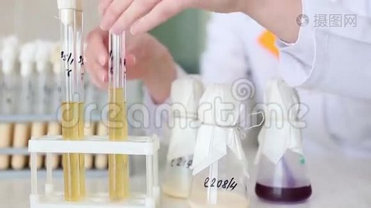 微生物实验室，研究试管中的材料视频